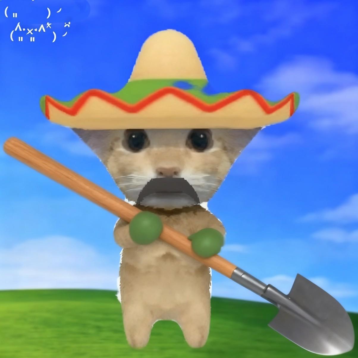 阿米嘎蒂朵喵喵歌 ヽ(=^・ω・^=)丿