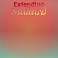 Extending Mallard