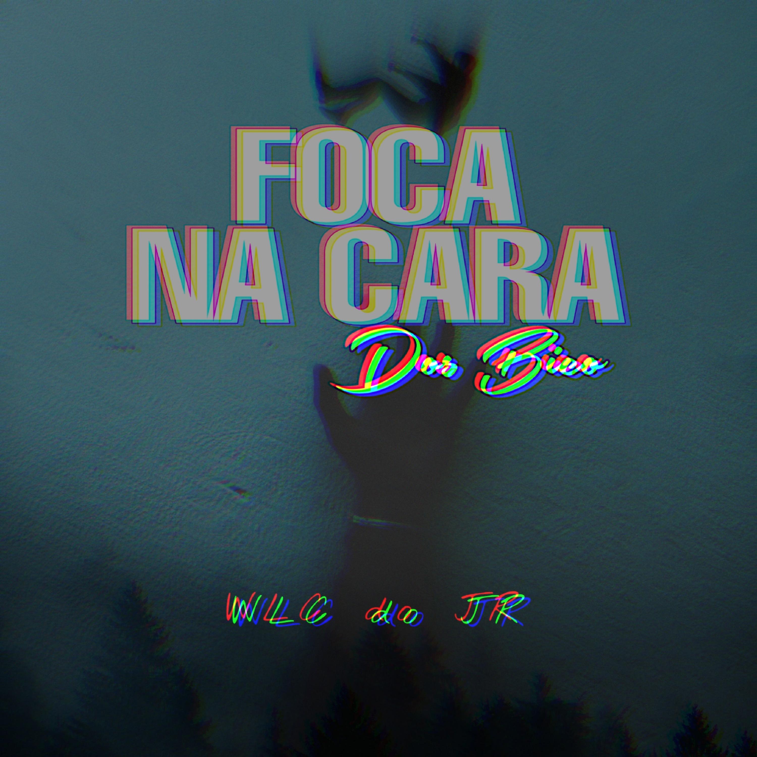 Foca na Cara dos Bico