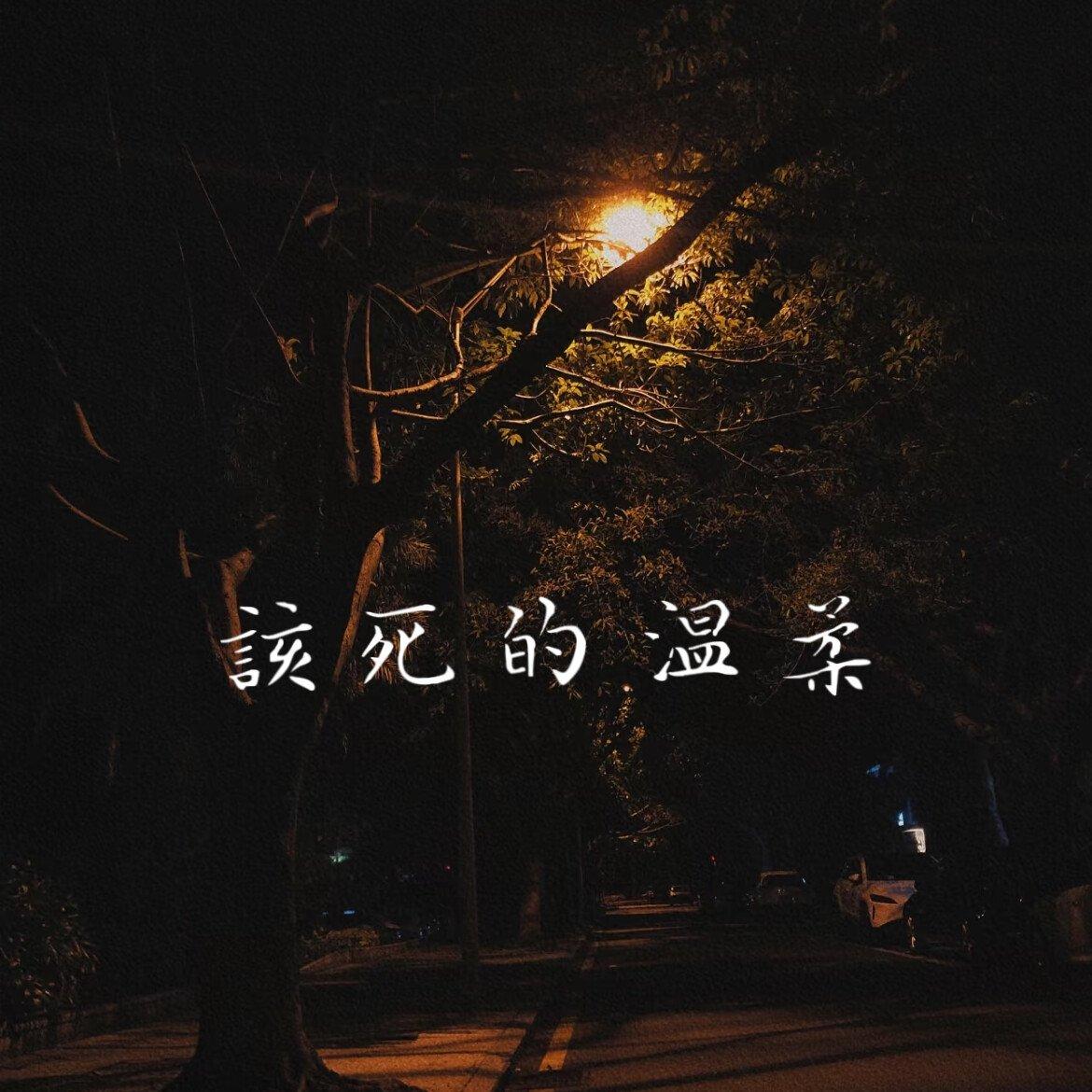 该死的温柔封面