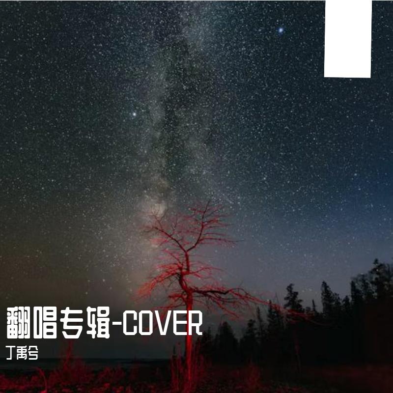一路生花 - 丁禹兮封面