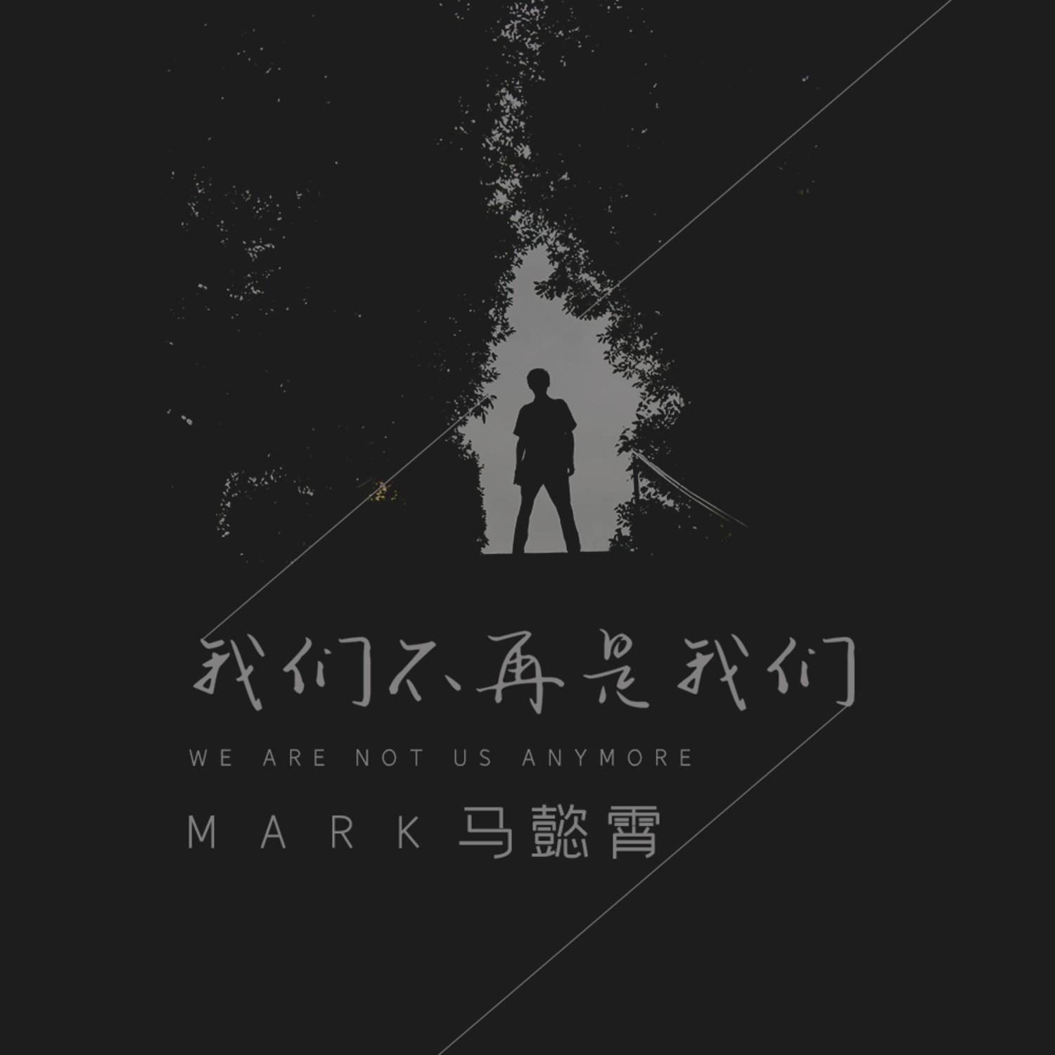 我们不再是我们封面