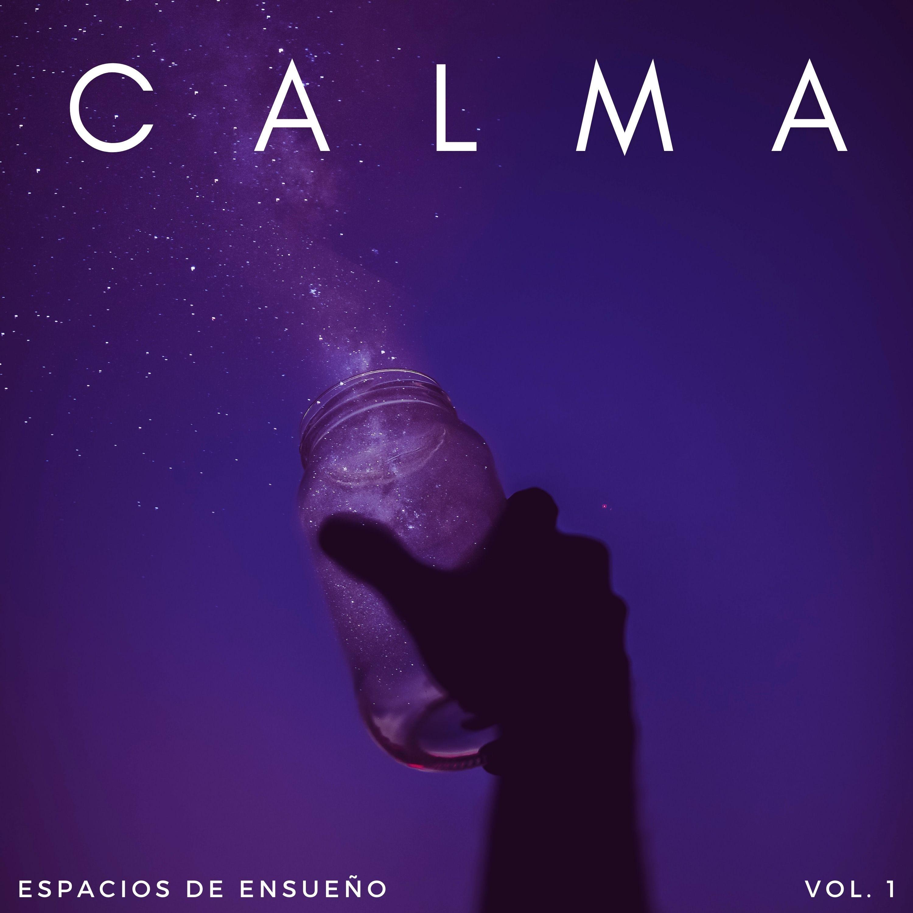 Salón Sin Fin_Somnoly Lofi Beats_Calma: Espacios De Ensueño Vol. 1 | 在线播放_Salón Sin Fin歌词_Salón Sin Fin下载 | 网易云音乐