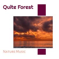 Quite Forest - Nature Music