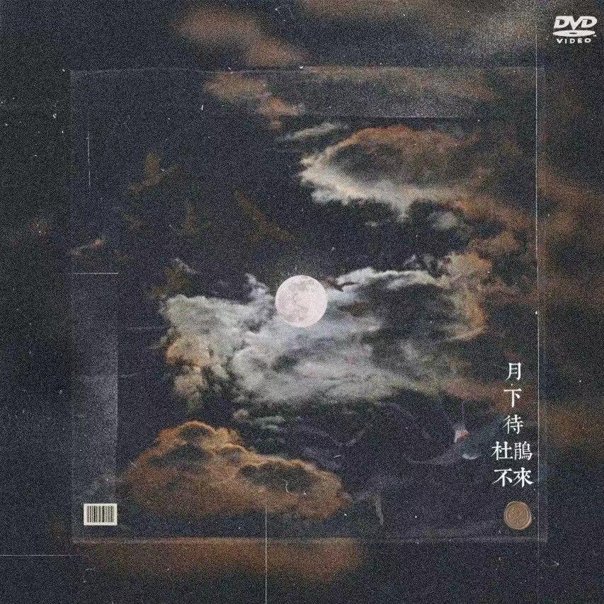 月下待杜鹃不来封面