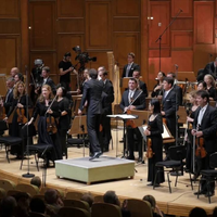 Vienna Radio Symphony Orchestra