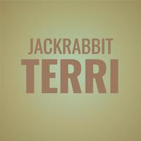 Jackrabbit Terri