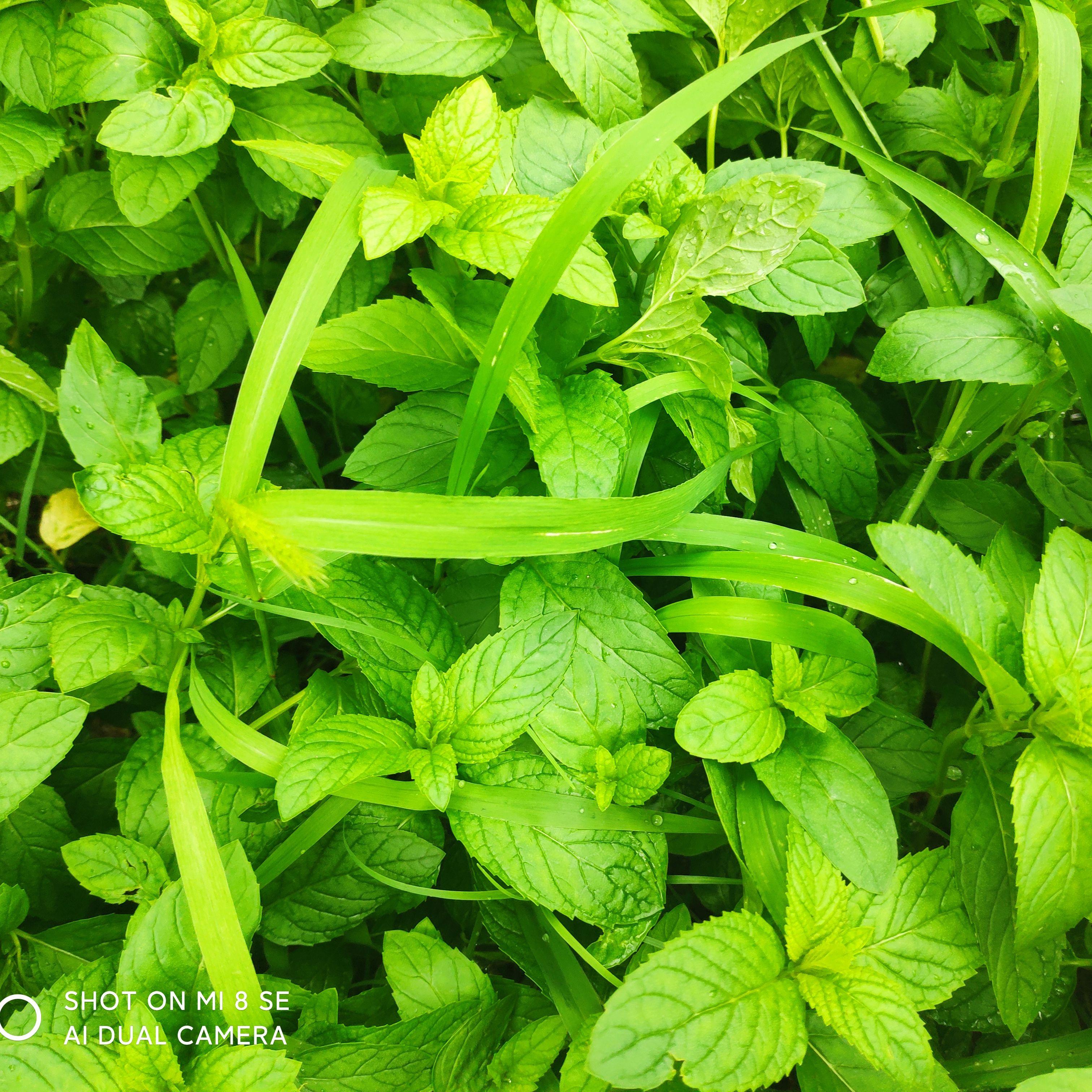 夜空中最亮的星 钢琴曲3.23