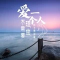 至少还有你 (DJ版)封面