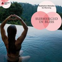 Submerged In Bliss - Meditation Melodies For Morning