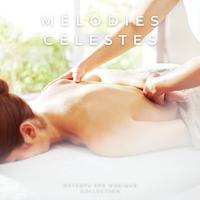 Mélodies Célestes: Musique Instrumentale De Spa