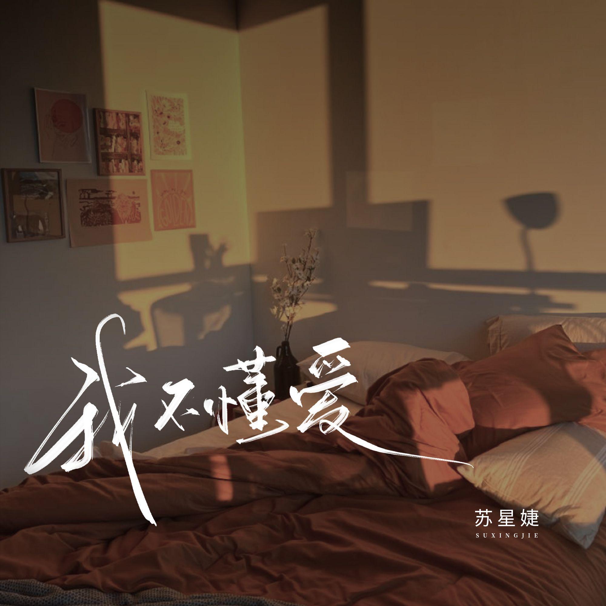 我不懂爱 - 苏星婕封面