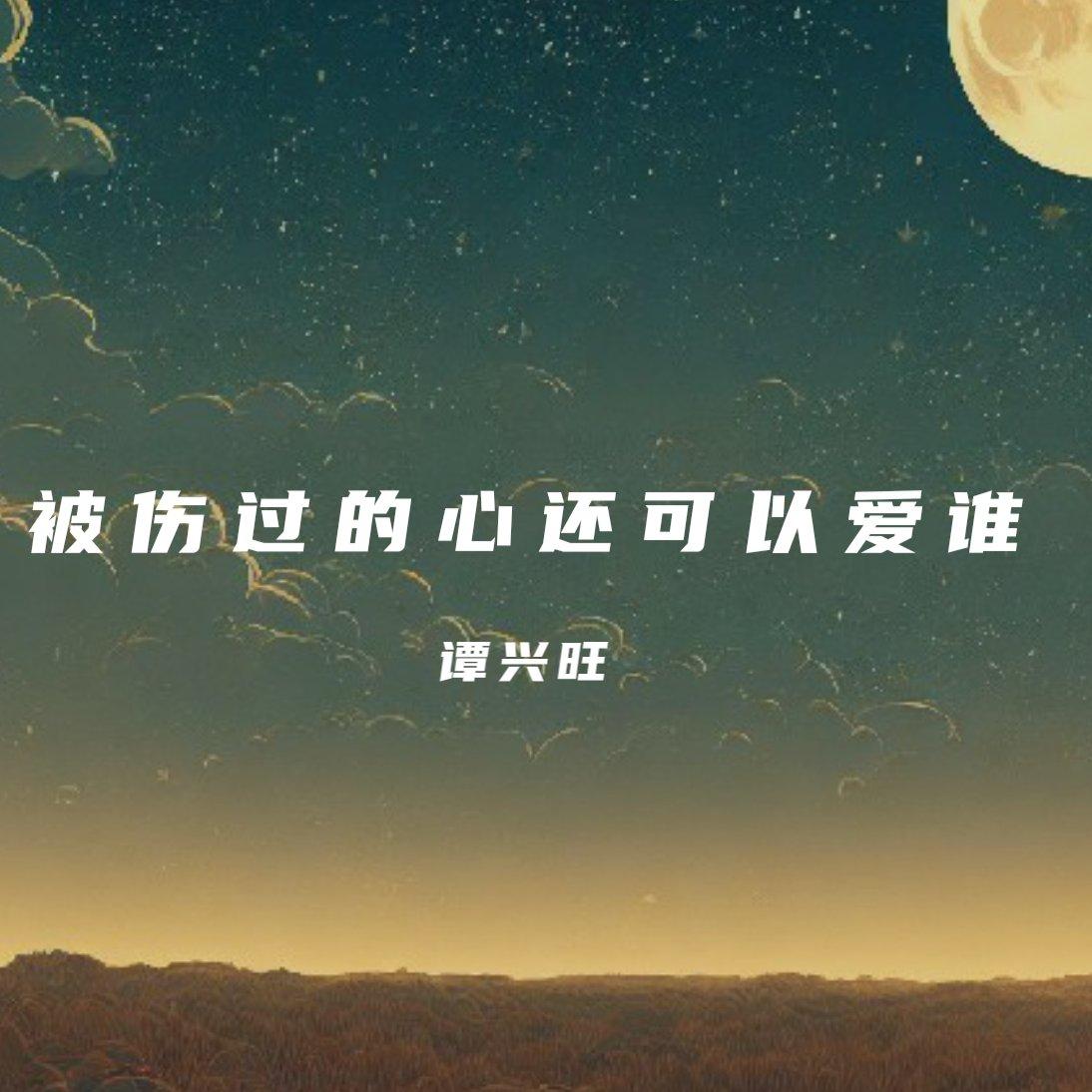 被伤过的心还可以爱谁封面