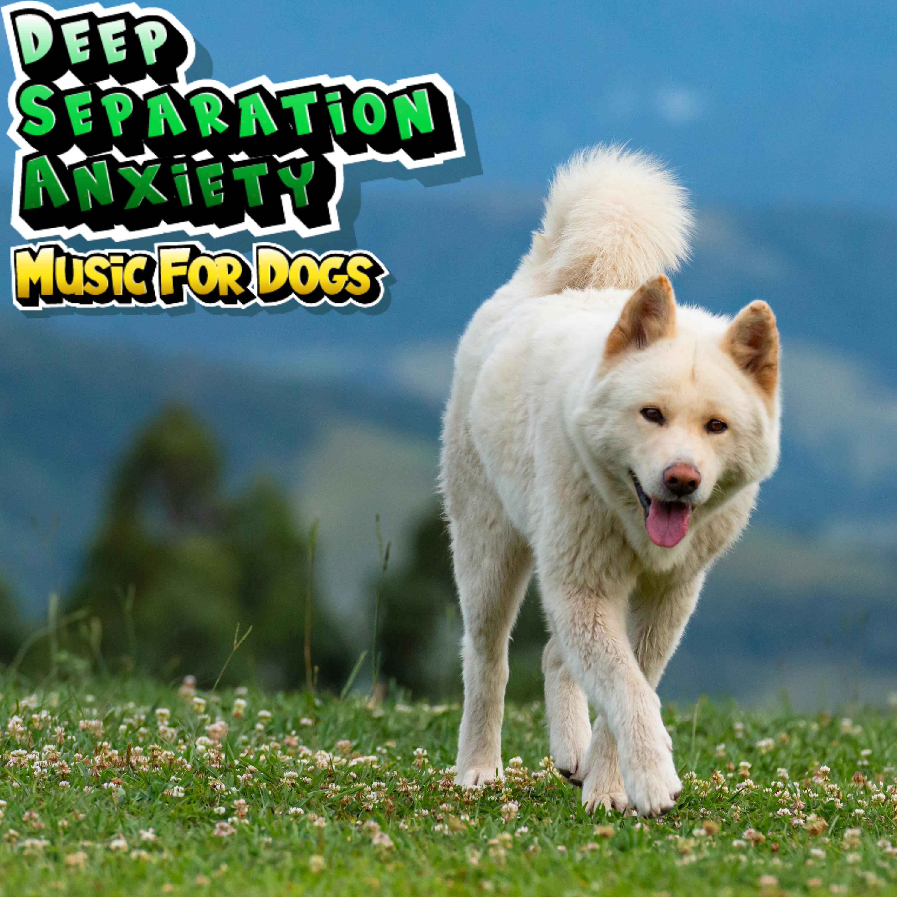 Music for Dogs