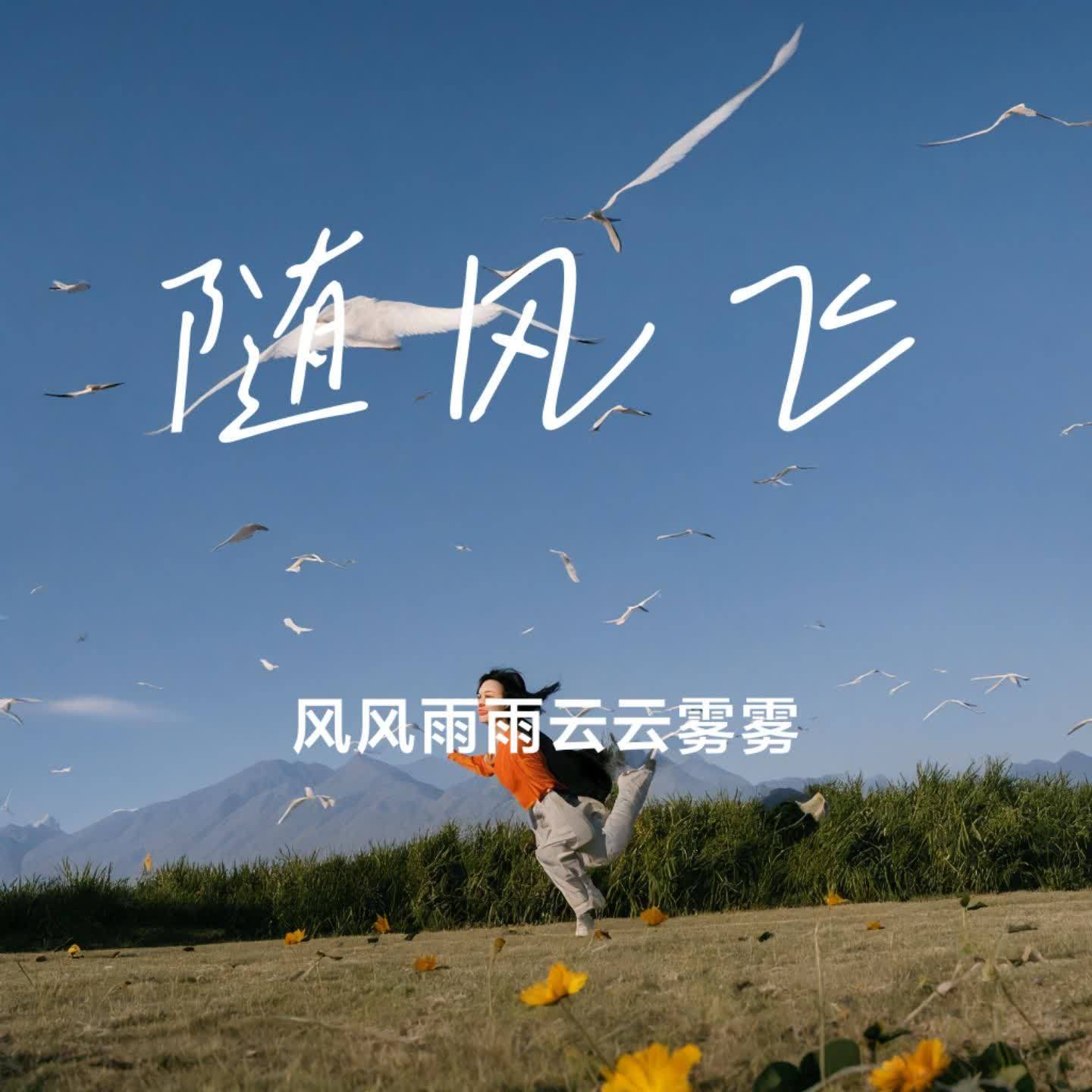 随风飞封面