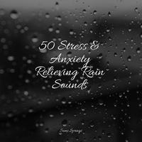 50 Stress & Anxiety Relieving Rain Sounds