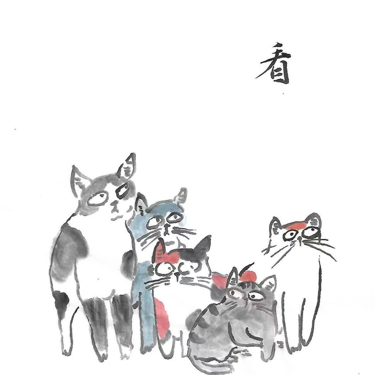 观察日记封面