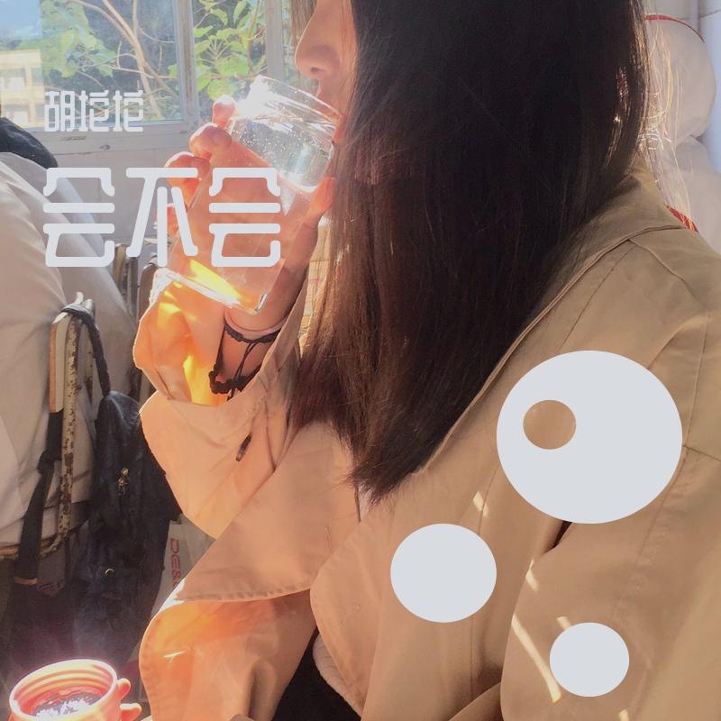 会不会(女声版)封面