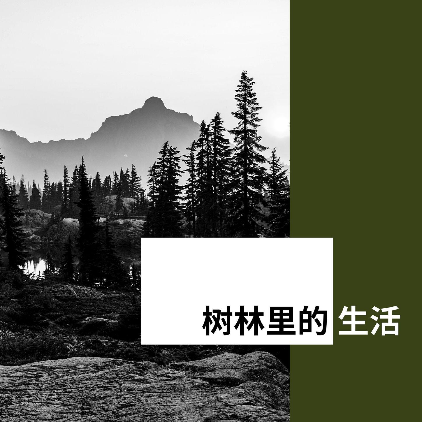 自由幻想封面