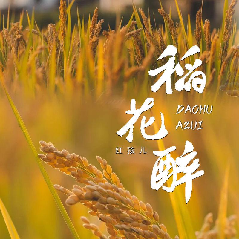 稻花醉 (伴奏)封面