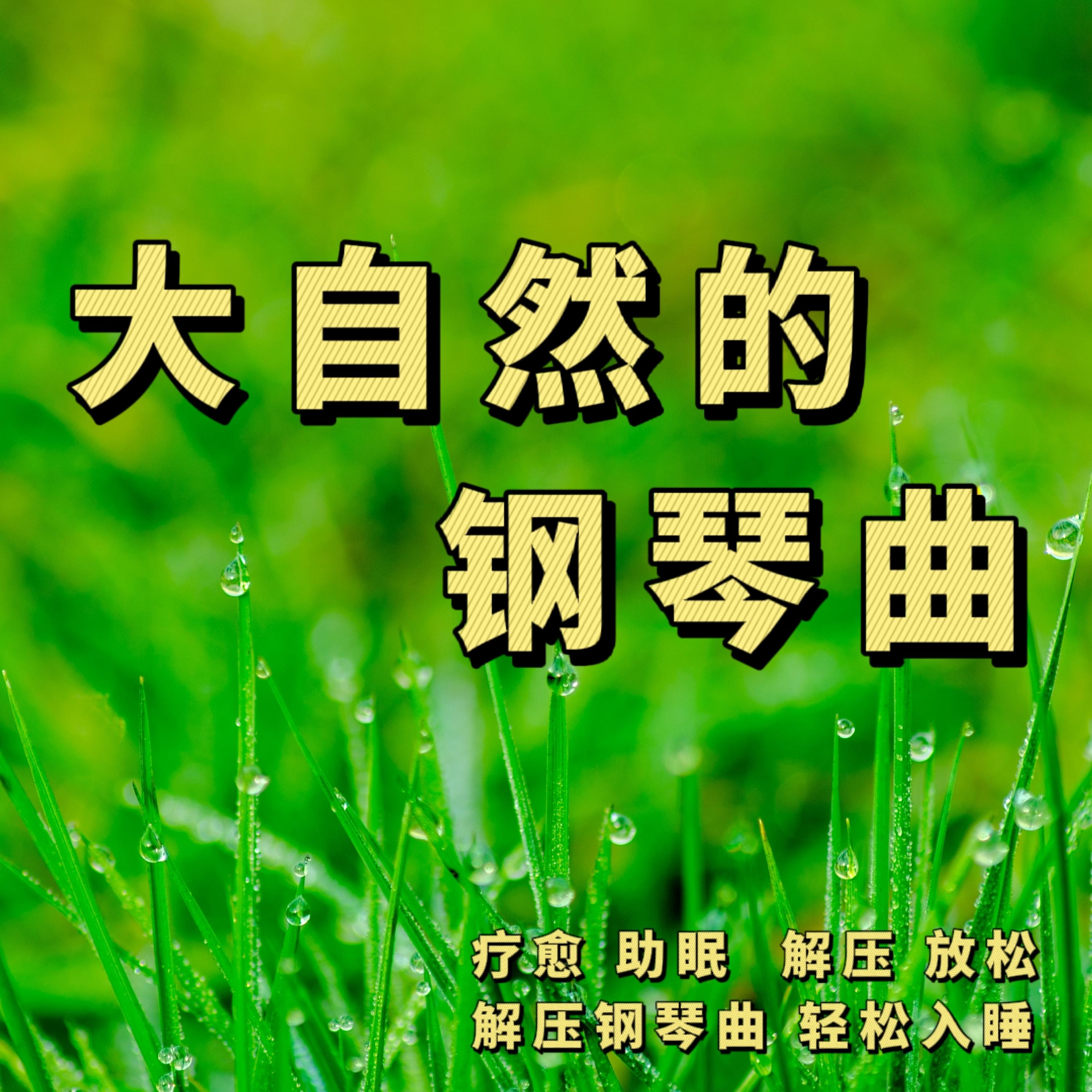 蝉鸣知夏意封面