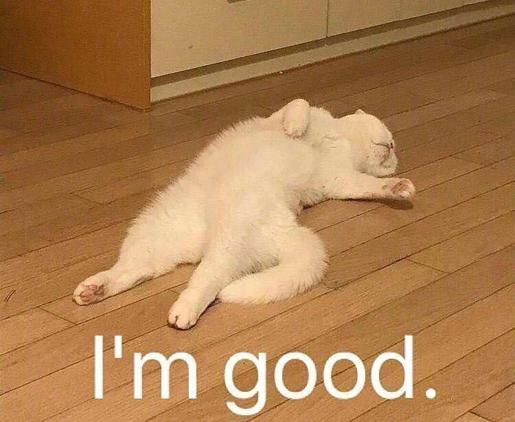 生鱼片