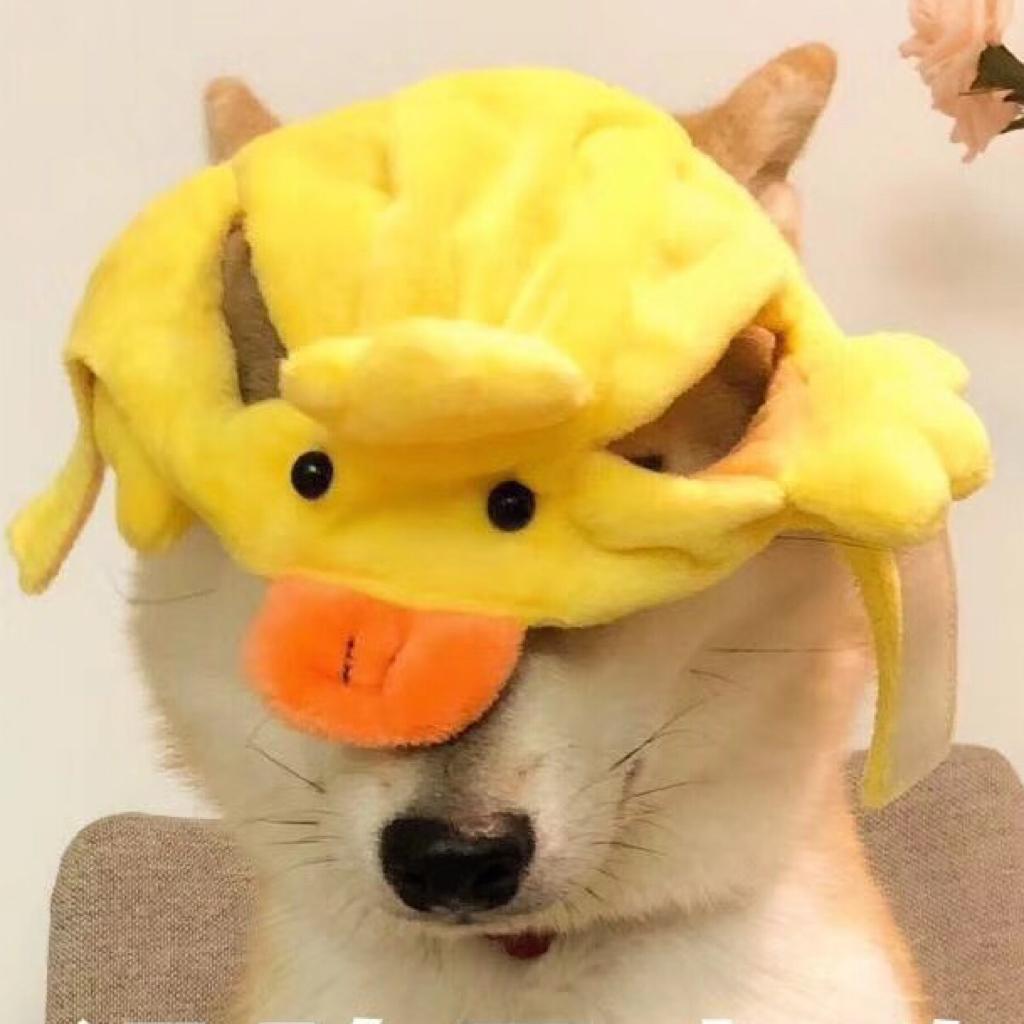 yy吉要变成一束光