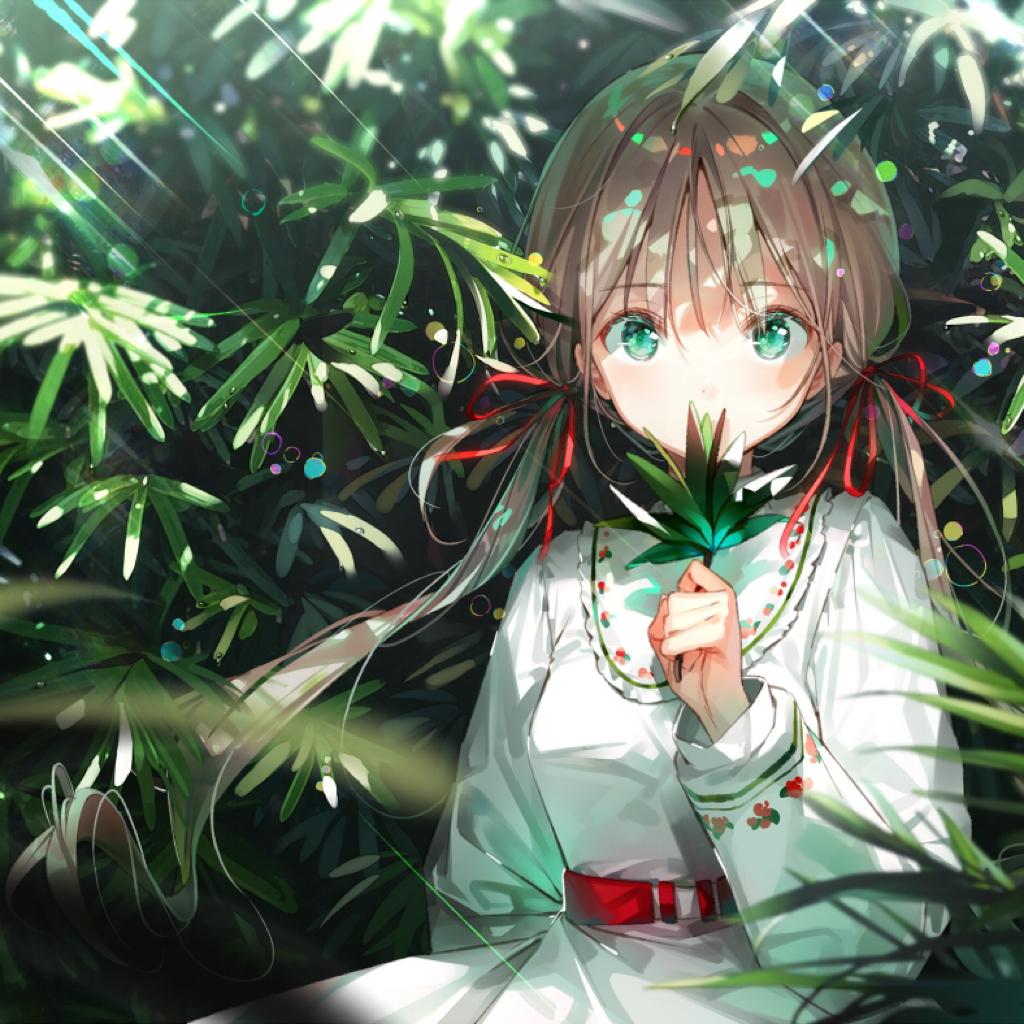 古风歌单—好听的声音让人心平气和