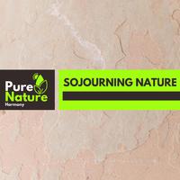 Sojourning Nature