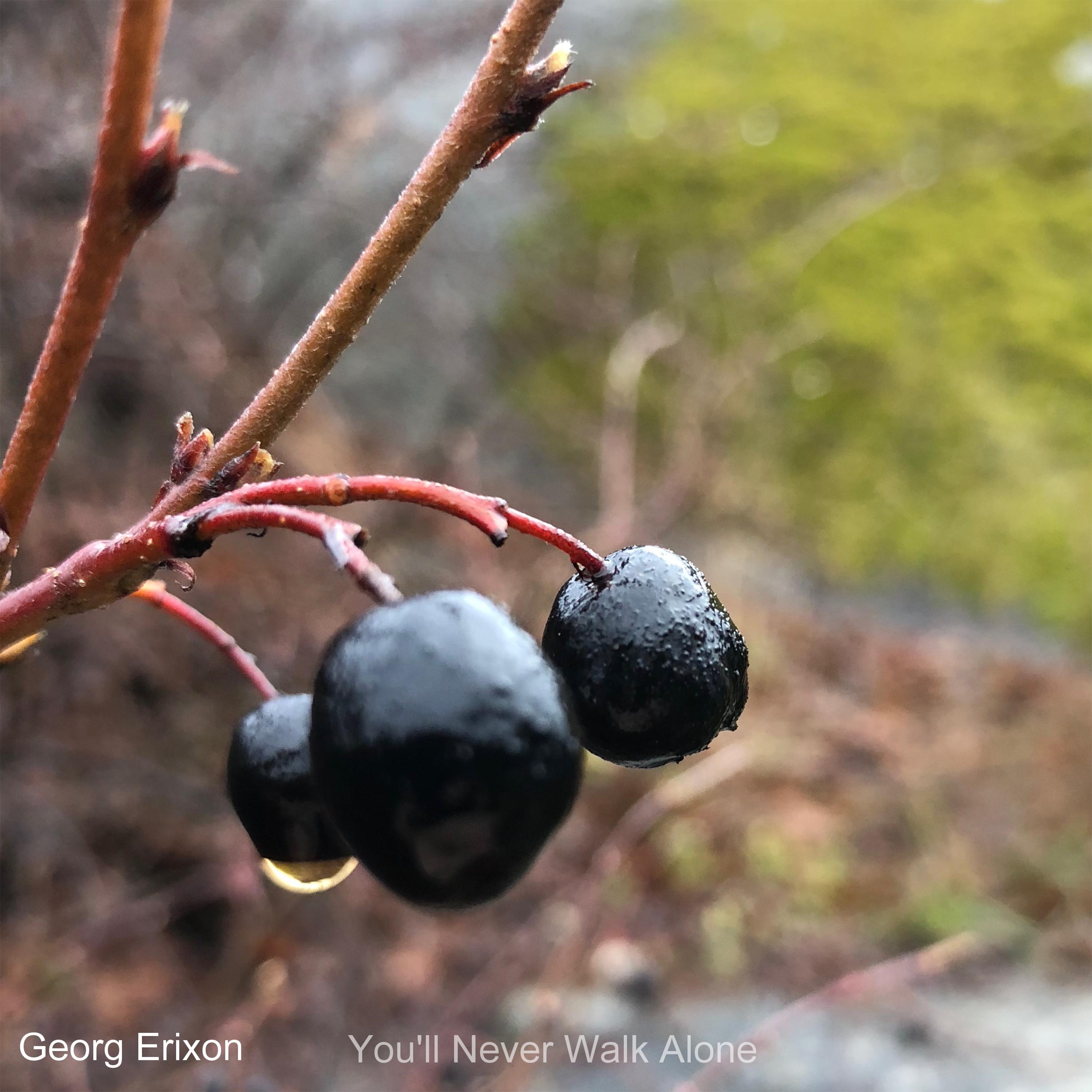 You'll Never Walk Alone