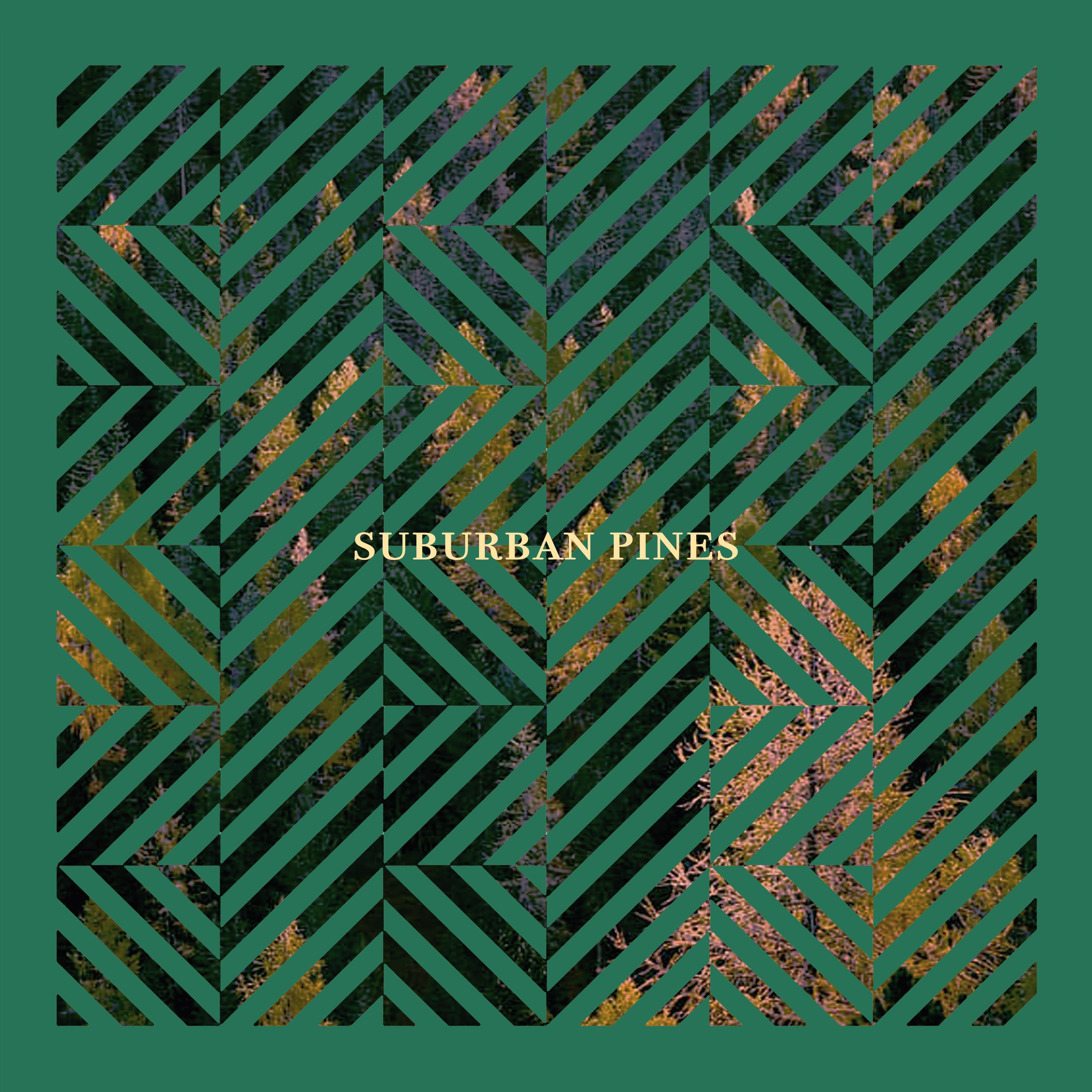 Suburban Pines_Roo Panes_Suburban Pines | 在线播放_Suburban Pines歌词_Suburban Pines下载 | 网易云音乐