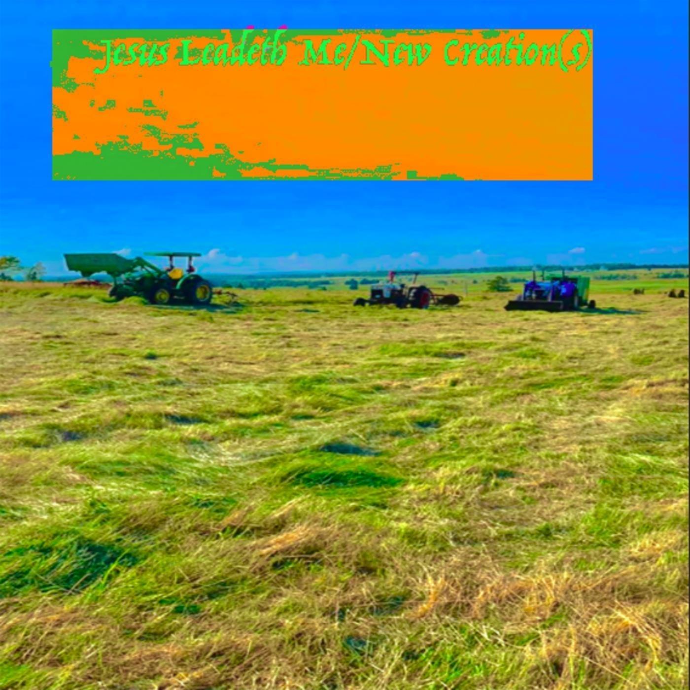 North of the Tree Line