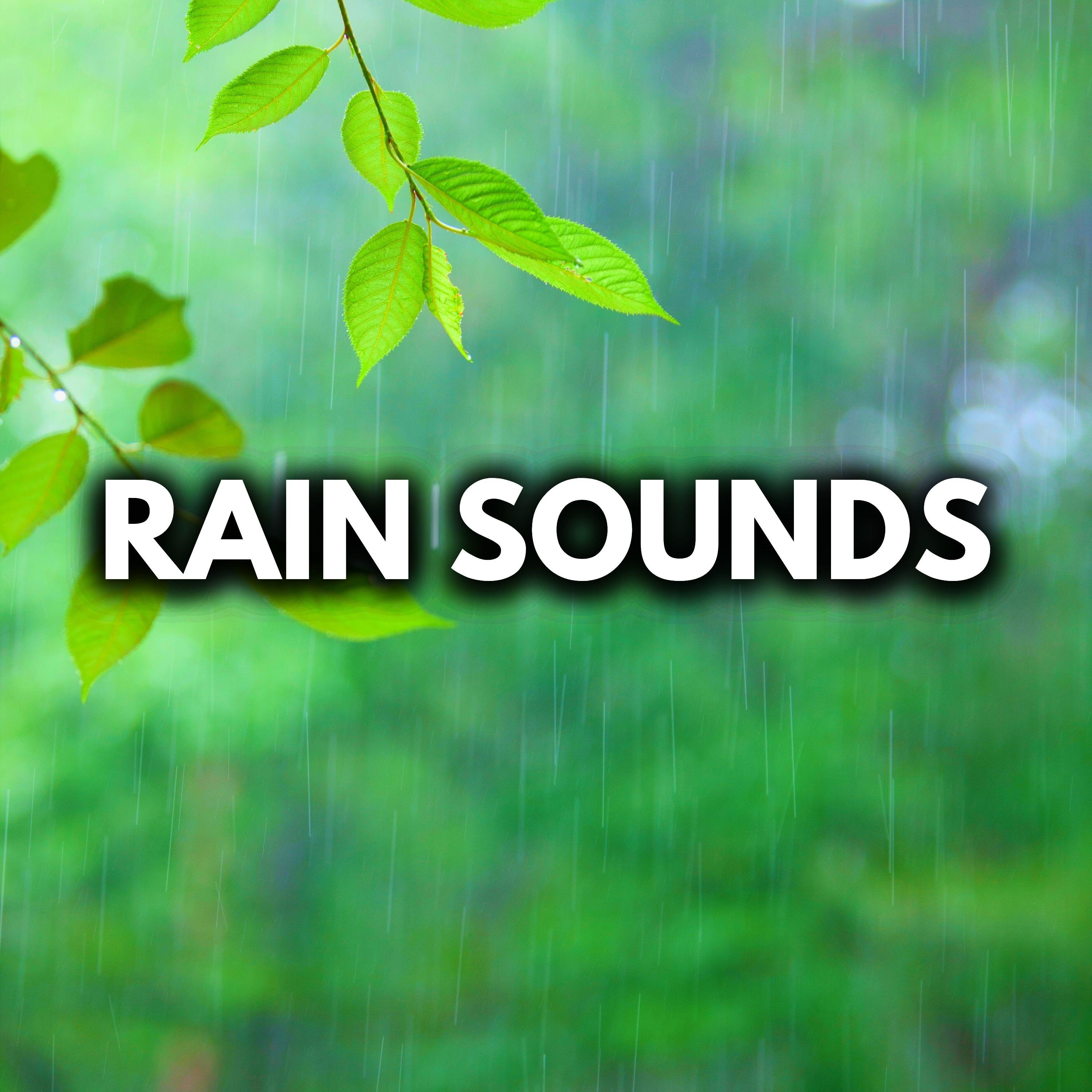 Rain Sounds For Deep Sleep (Loopable, No Fade Out)
