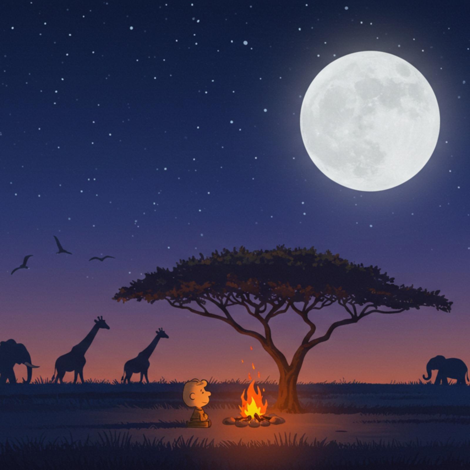 Twinkle Variations: Serenade of the African Savannah (live)