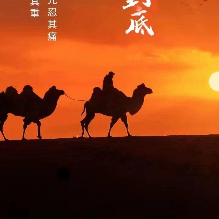 记不住你的容颜封面