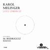 Karol Melinger - Forget the World (M. Rodriguez remix)