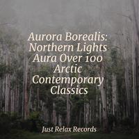 Aurora Borealis: Northern Lights Aura Over 100 Arctic Contemporary Classics