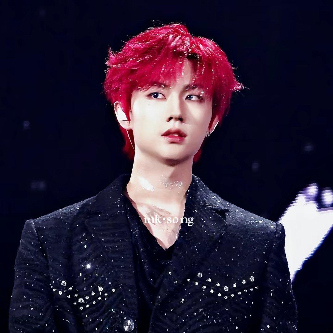 【张子墨z!mooo】精选合集歌单 | 更新中