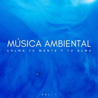 Música Ambiental: Calma Tu Mente Y Tu Alma Vol. 1