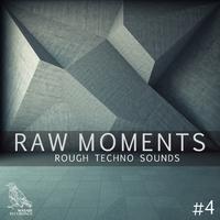 Raw Moments, Vol. 4 - Rough Techno Sounds