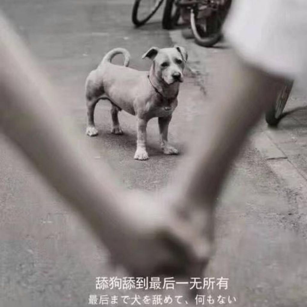 快乐可以属于我吗