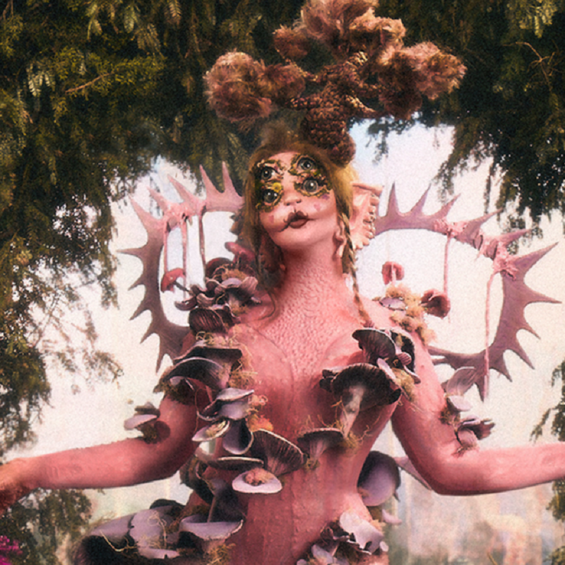 听·Melanie Martinez热门精选|Mad Hatter (KXA Remix)