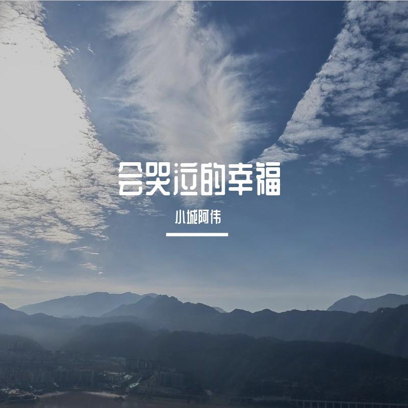 流星的眼泪封面