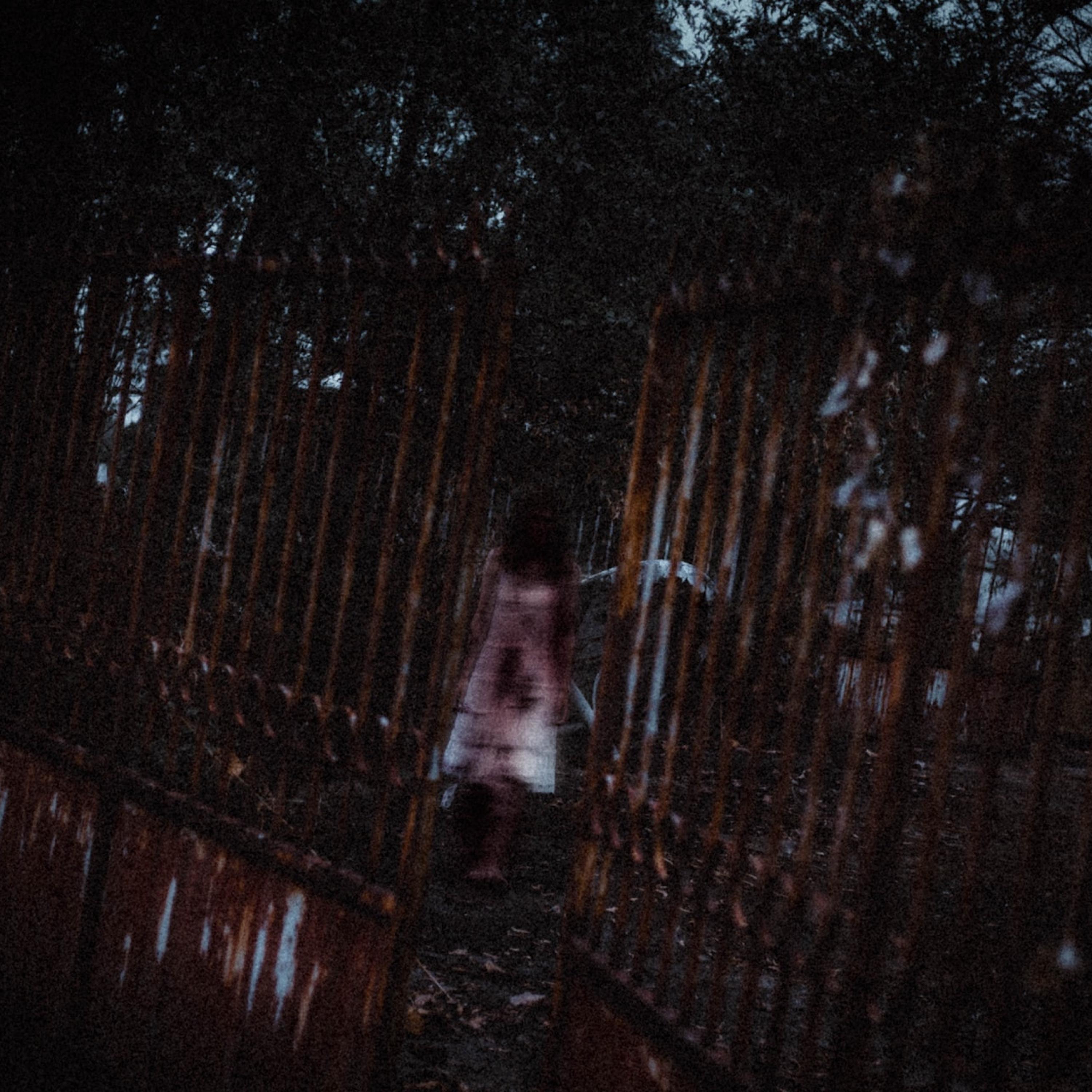 Bodies Hung Everywhere