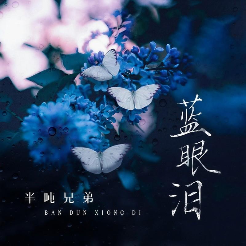 蓝眼泪(DJ版)封面