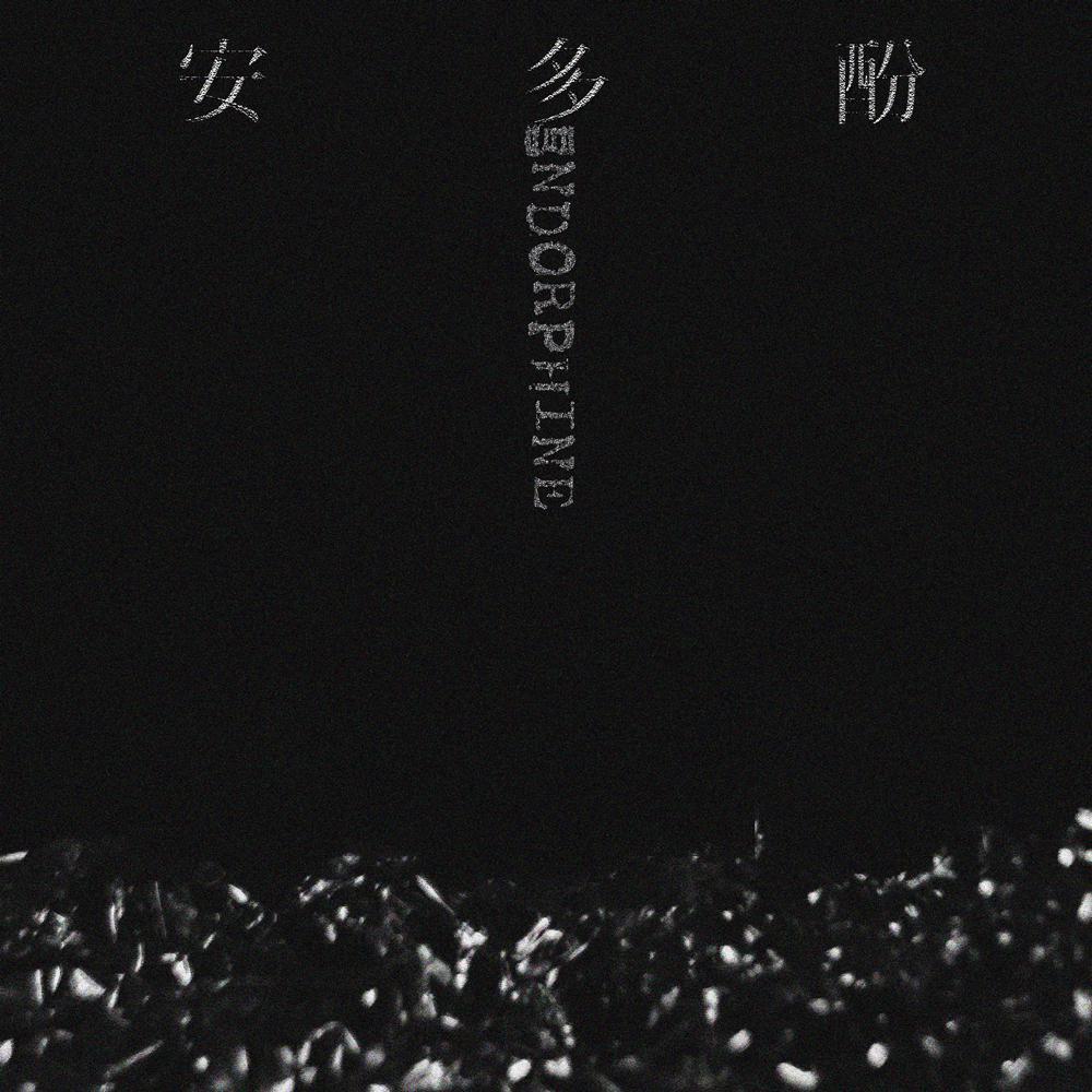 野兔封面