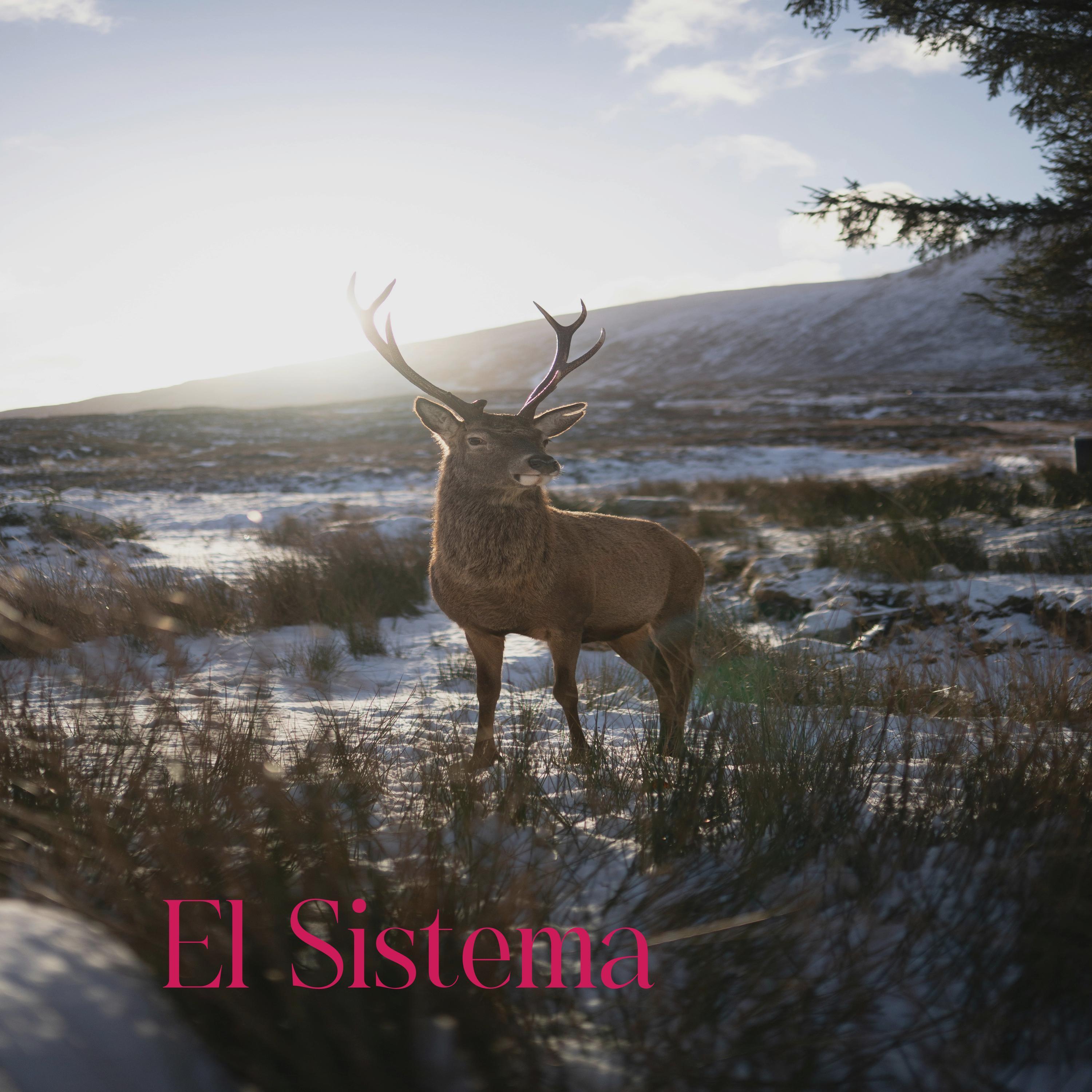 El Sistema