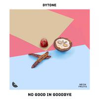 No Good In Goodbye