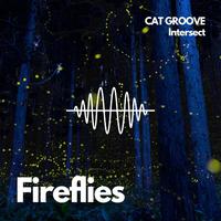 Fireflies (Radio Edit)