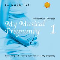 My Musical Pregnancy 1